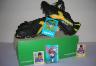 Baggio Robero primi anni 90  90